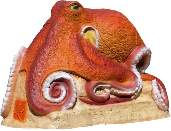 Octopus SRT